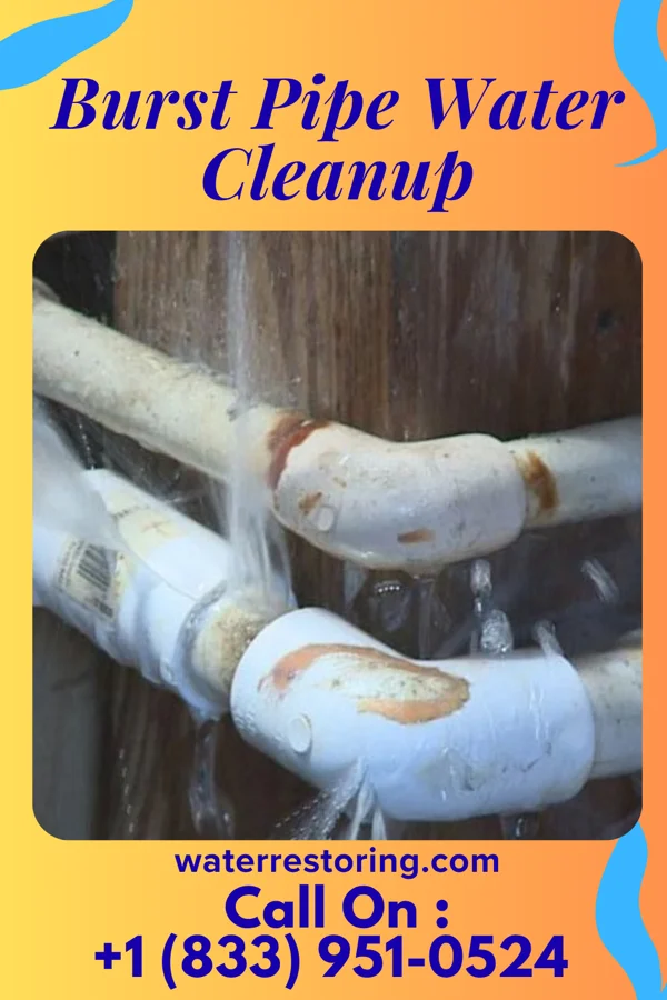 Burst Pipe Water Cleanup in Gurley, NE