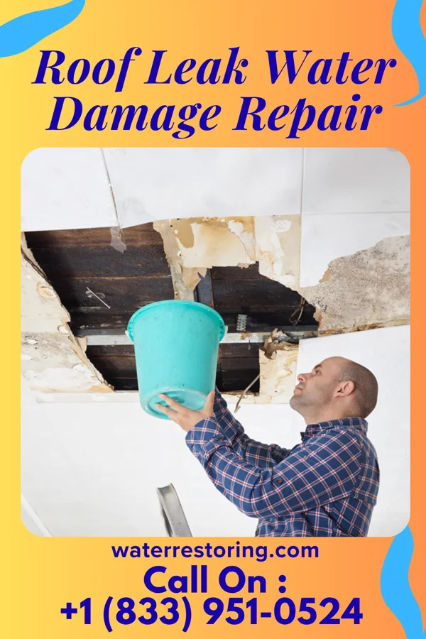 Roof Leak Water Damage Repair in Gurley, NE