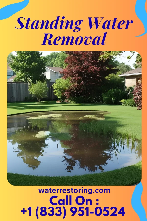 Standing Water Removal in Gurley, NE
